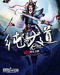 纯阳大道更新情况
